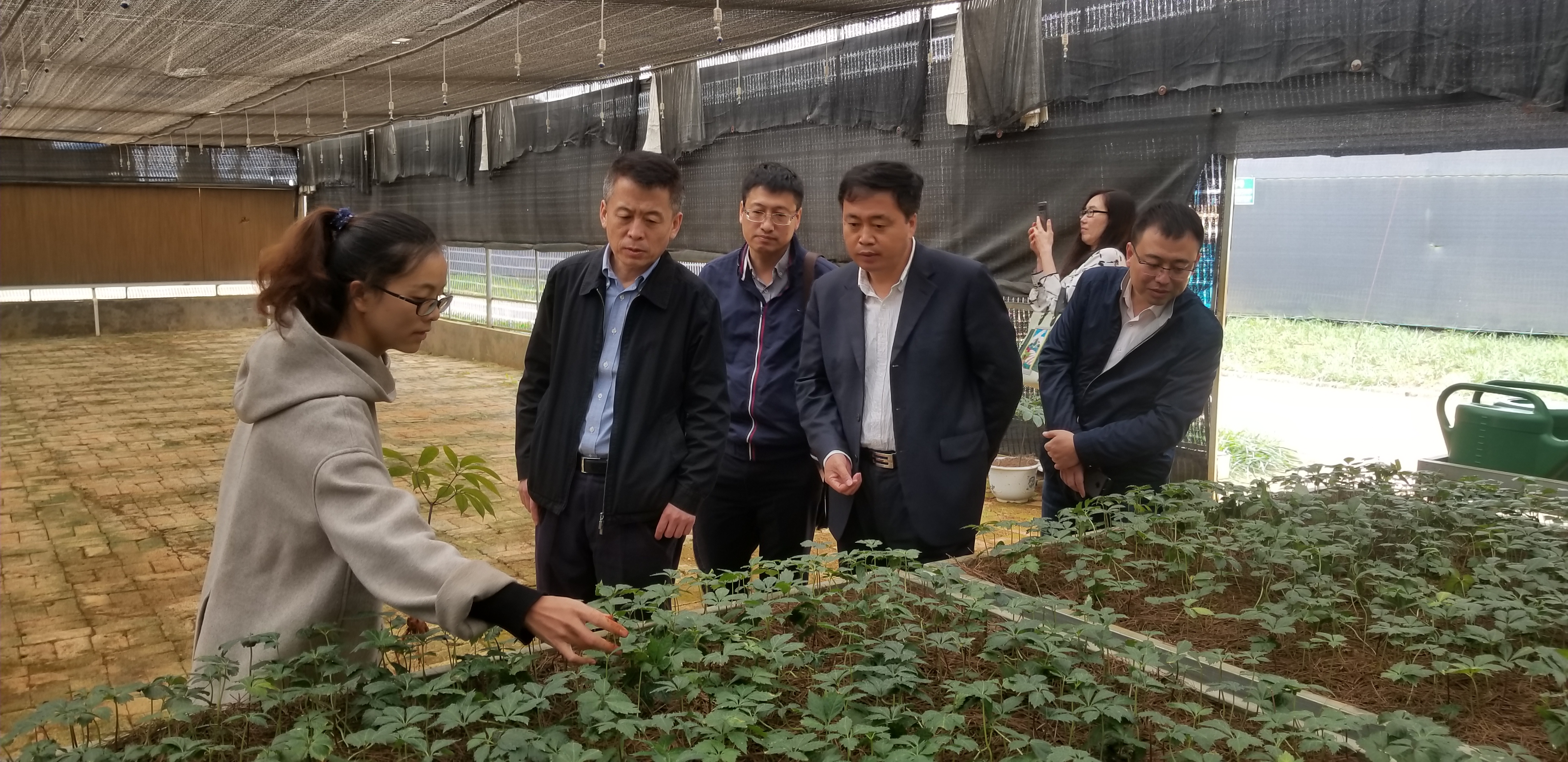 PP电子·仿照器(试玩游戏)官方网站