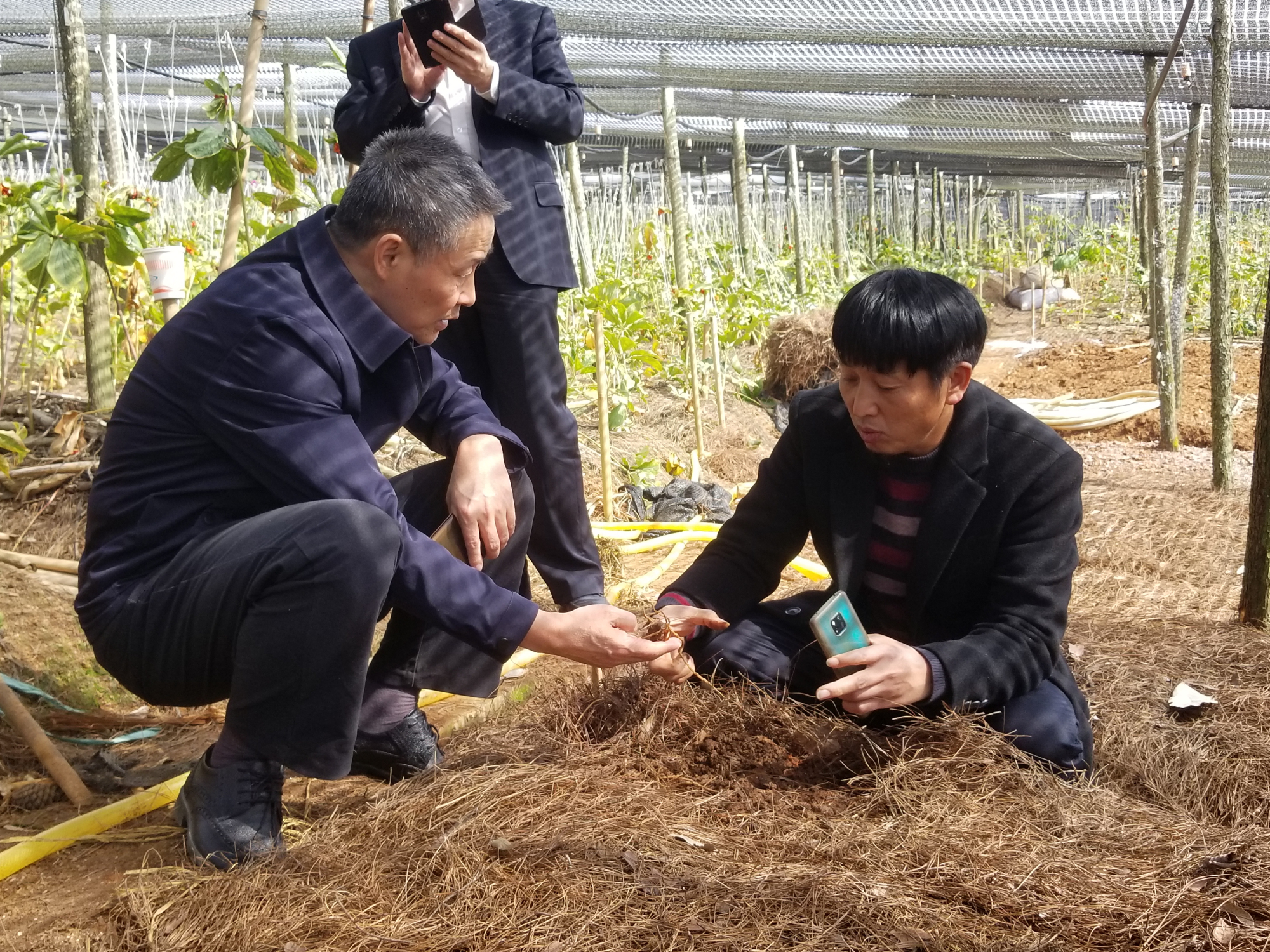 PP电子·仿照器(试玩游戏)官方网站