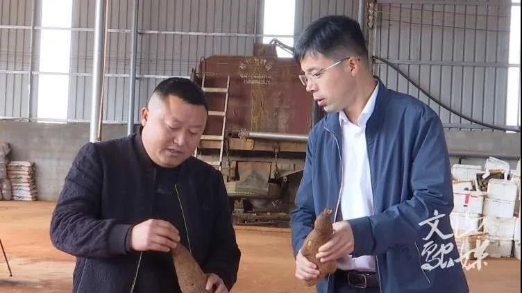 PP电子·仿照器(试玩游戏)官方网站